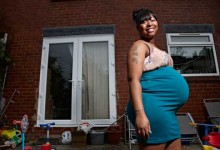 TV review: Babies, boobs and barking Brian