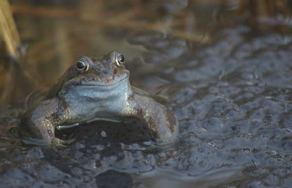 Even the wildlife is happy at St Nicks