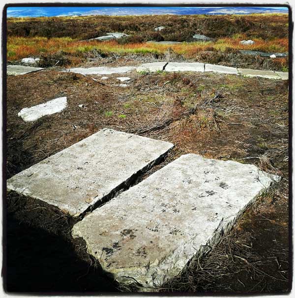 The Puddle Stones