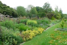 Days out: Stillingfleet Lodge Gardens –  a quirky paradise