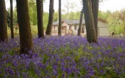 Holiday park opens its doors to the public