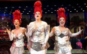 Review: Exhilarating ride with Priscilla and passengers