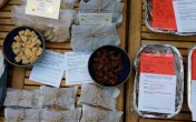 Allotment blog: Slugs, swaps and dandelions