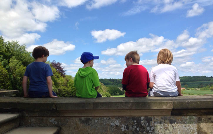 See all, hear all, say owt… the boys survey the Howardian Hills
