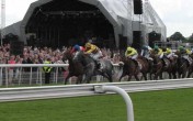 Who to back at York Races: Saturday, July 27, 2013