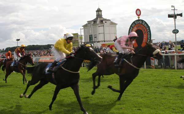 It's not just about the horses… York Racecourse