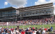 Who to back at York Races: Saturday, July 13 2013