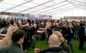 York Beer Festival 2013: Your complete guide