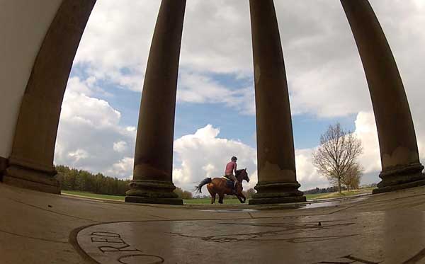 York riders saddle up for Sue