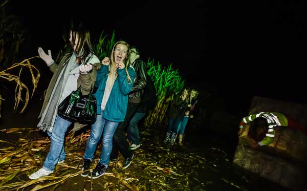 hallowscream-maze