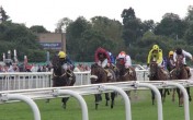 Who to back at York Races, Friday, October 11, 2013