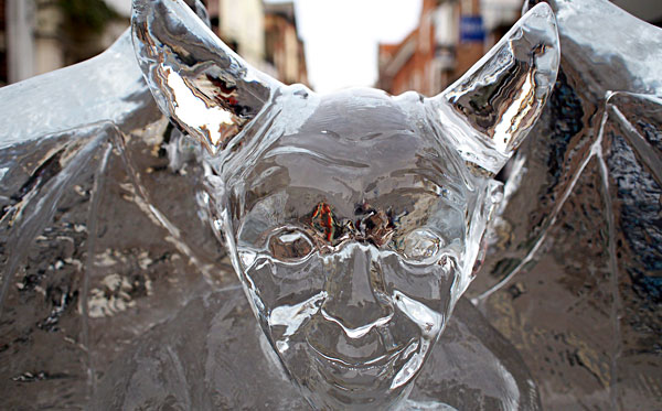 The devil is in the detail devil-bat