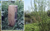 Illegal fox traps found at York beauty spot