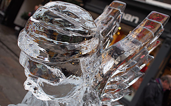 A silent angel preys ice-angel