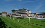 Who’ll win at York Races, Dante Festival, day three – May 16, 2014?