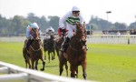 Who’ll win at York Races: May 31, 2014?