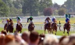 Who’ll win at York Races: Saturday, June 14, 2014?