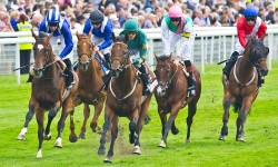Who’ll win at York Races? Tips for the John Smith’s Cup Meeting 2014