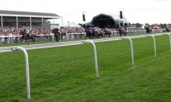 Who’ll win at York Races? Tips for the Music Showcase weekend 2014