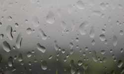 Poetry blog: I can see clearly now thanks to your window poems