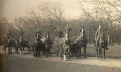 Bullets, battles and bully beef: diary of a First World War soldier