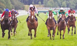 Who’ll win at York Races? Tips for the Ebor Festival 2014: Day 4