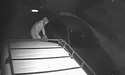 Pictured: Arsonist moments before BMW goes up in flames