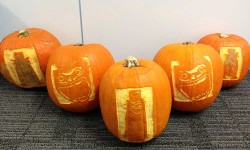 X Factor, Strictly and Babadook hire the man who pimps pumpkins
