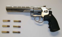 Hand in your guns: Police launch two-week firearms amnesty