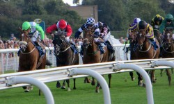Who’ll win at York Races? Tips for the October 2014 meeting, Day 2