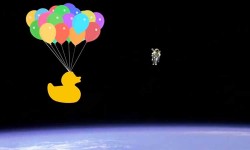 York prepares to launch a duck in to space