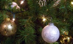 How to buy – and care for – the perfect Christmas tree in six easy steps