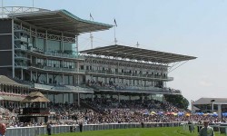 Who’ll win at York Races? Tips for the May Spring meeting 2015