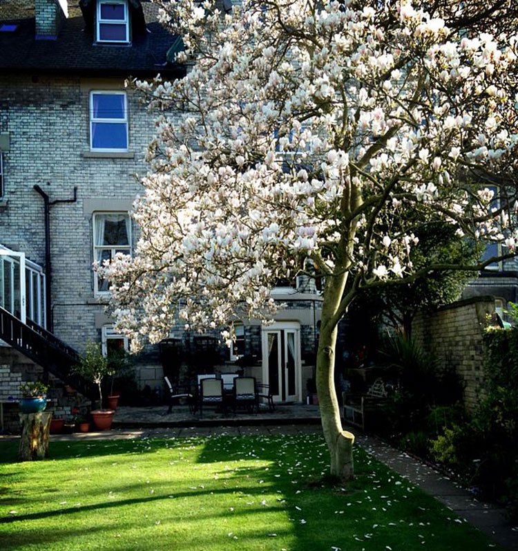 Photograph: Bishops Guest House Facebook