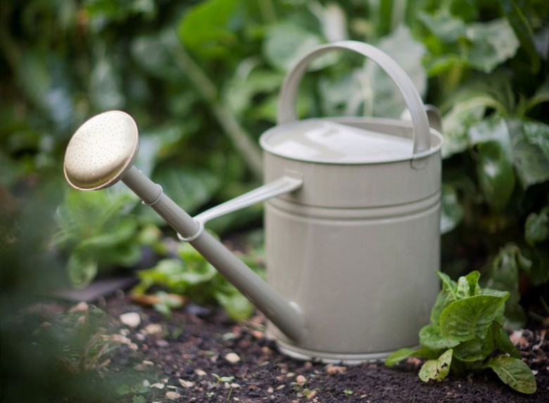 blossom-walker-watering-can