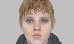 Face of the teenager suspected of stealing from woman, 94