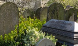 The day I committed murder most foul in York – all in the name of entertainment