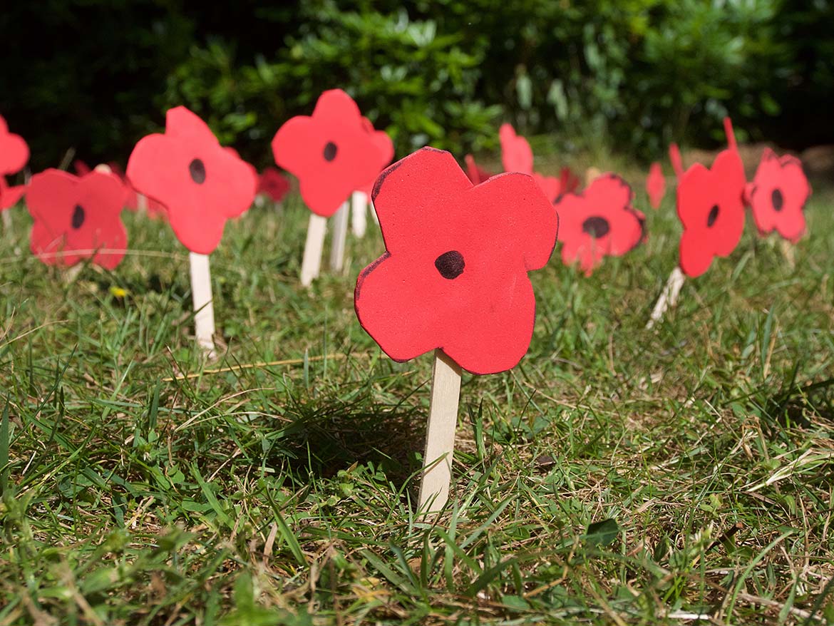 cub-scouts-york-snowball-poppies-lest-we-forget