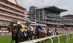 Who’ll win at York Races? Tips for the John Smith’s Cup meeting, Day 2