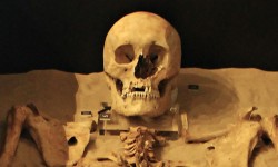 Remarkable time-lapse video sees 600-year-old soldier reassembled in museum