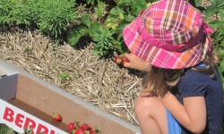 Poetry blog: Summer can be a fruitful time for the imagination
