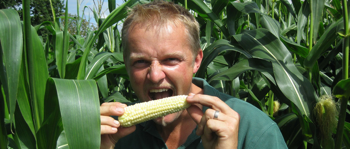 A grand is up for grabs in York – if you can break the corn eating record
