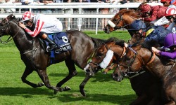 York Racecourse is the best in Britain – and here are 10 winning reasons why