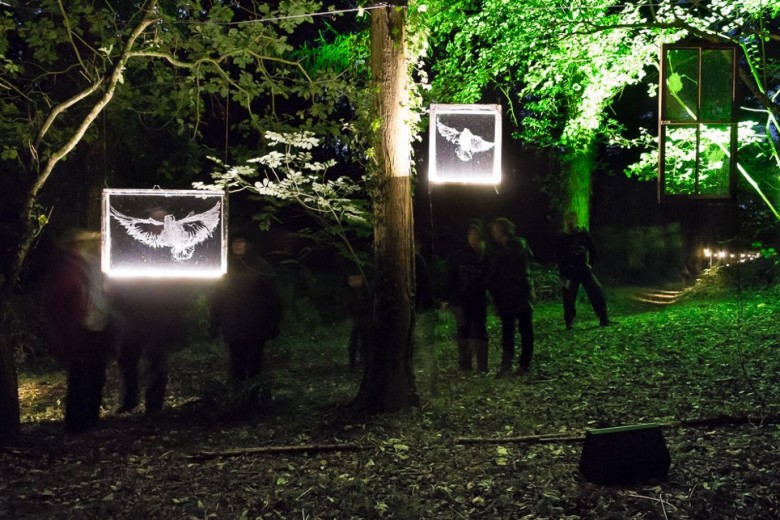 Illuminata Botanica - throwing a new light on Museum Gardens