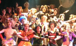 Review: Cats, Joseph Rowntree Theatre