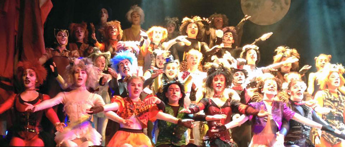 Review: Cats, Joseph Rowntree Theatre