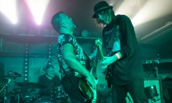 Interview and review: The Icicle Works, Fibbers