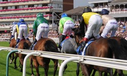 Who’ll win at York Races? Tips for the October meeting 2015, Day 2