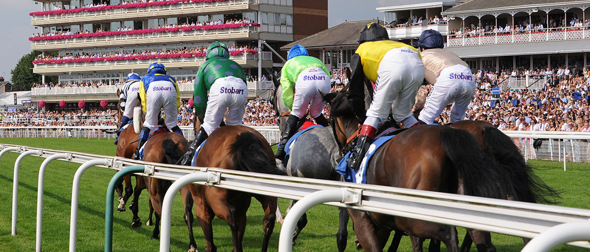 Who’ll win at York Races? Tips for the October meeting 2015, Day 2