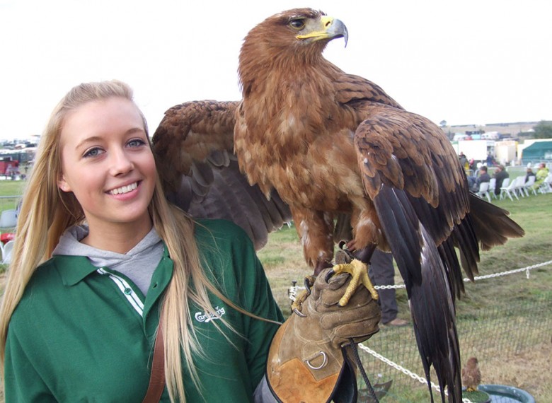 Ridgeside Falconry, one of many creature features at the show